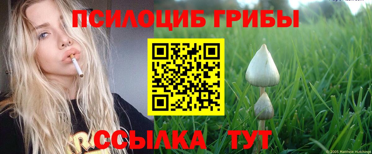 Псилоцибиновые грибы прущие грибы Горно-Алтайск