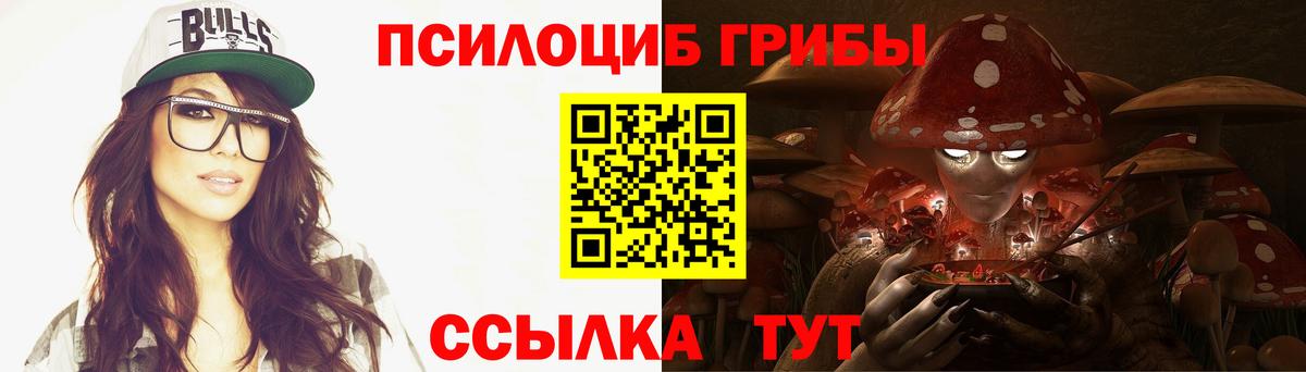 Горно-Алтайск  Галлюциногенные грибы Psilocybine cubensis  наркошоп  Вход с VPN 